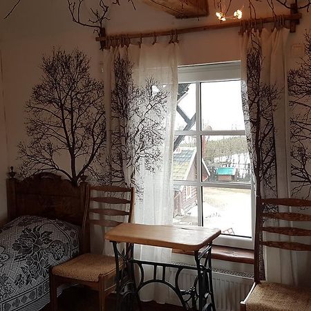 Oreiviu Uzuoveja Kaimynai Buitenkant foto